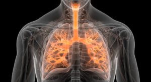 20240410-schultz-bollong-lung-regeneration-920x500-1