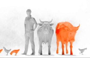 WhatsApp-Image-2024-05-04-at-Gripe-1-corta