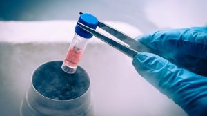 congelamiento de óvulos