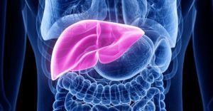 Niemann Pick Tipo C Higado