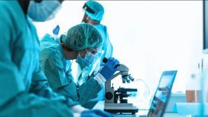 Investigación y desarrollo