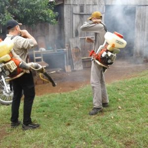 Lucha contra el dengue