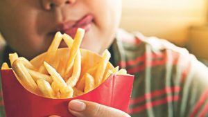 obesidad papas fritas