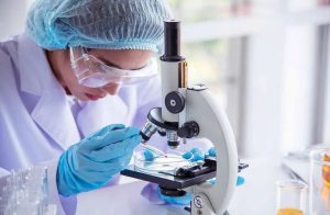 Plataforma Investigación Científica