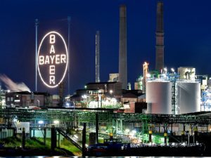 Bayer