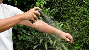 Repelente cuidados dengue