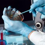 Industria Farmacéuica