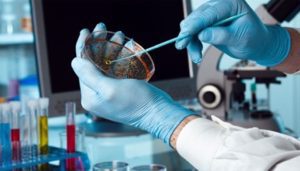 Industria Farmacéuica