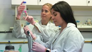 científicas del Conicet