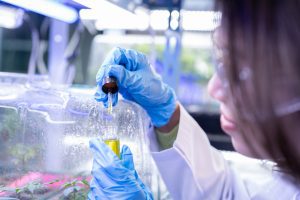 Novo Nordisk y Septerna