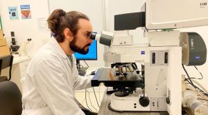 Diabetes tipo 1 Conicet