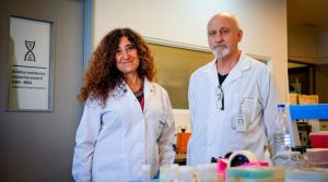 Enfermedad hepática