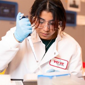 Verve