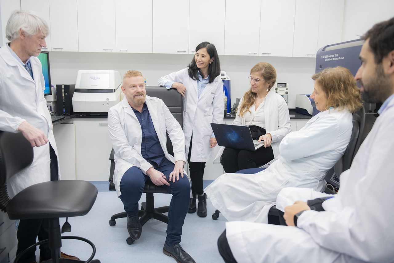 Células MDSCs
