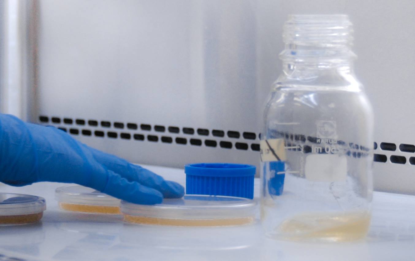 Laboratorios Aspen