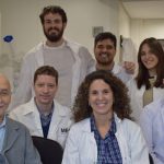 Por primera vez logran visualizar a un neurorreceptor