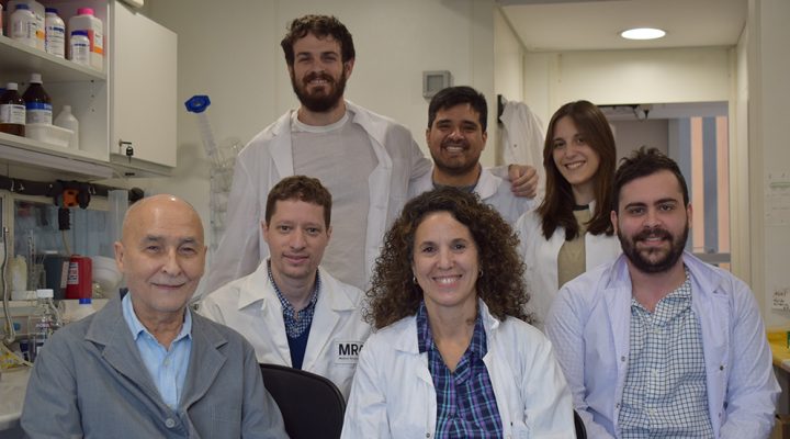 Por primera vez logran visualizar a un neurorreceptor