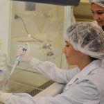 Una innovadora terapia para regenerar huesos