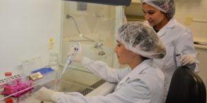 Una innovadora terapia para regenerar huesos