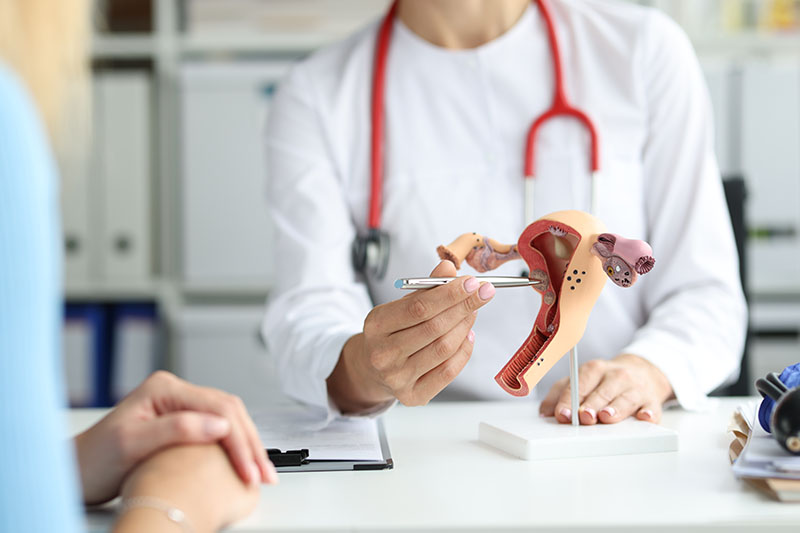 Cáncer de mama y cuello de útero