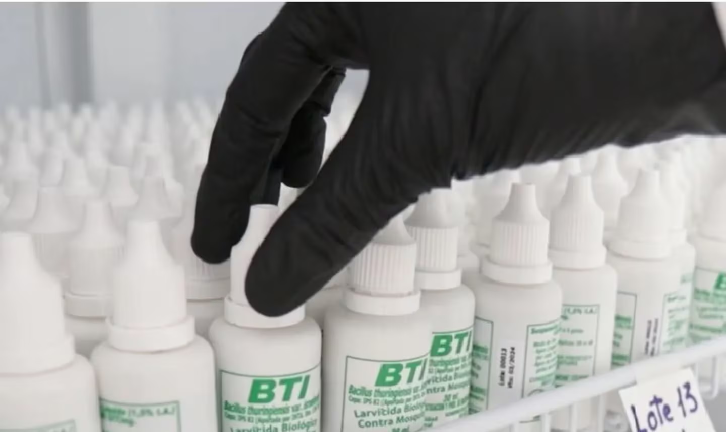 Larvicida biológico