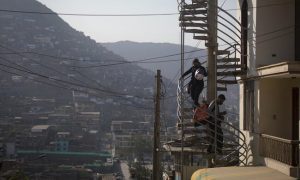 Llamamiento de la OMS