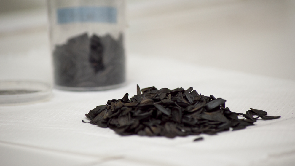 Un método simple y económico para eliminar arsénico y nitratos del agua