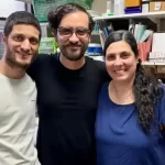 Una herramienta de IA para predecir la respuesta a tratamientos contra el cáncer