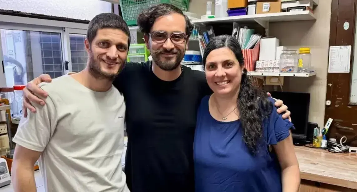 Una herramienta de IA para predecir la respuesta a tratamientos contra el cáncer