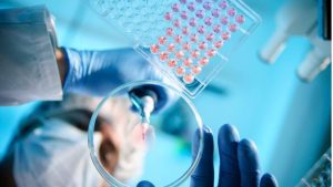 Comisión Nacional de Bioética