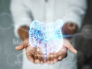 Holographic-intestine