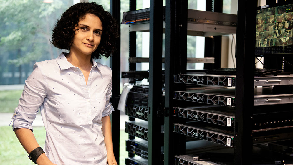 Investigación del Conicet