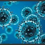 Nueva variante del virus de la influenza H3N2