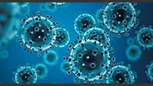 Nueva variante del virus de la influenza H3N2