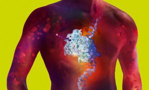 enfermedades cardiometabólicas