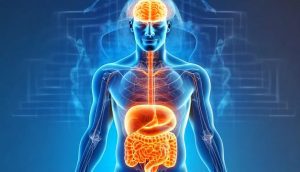 intestinos cerebro