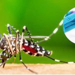 94174-salud-publica-chikungunya-mosquito