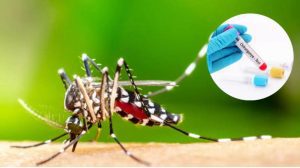 94174-salud-publica-chikungunya-mosquito
