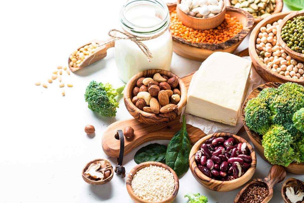 proteina-vegetal