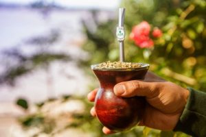 yerba mate