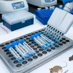 Hantavirus en el crucero MV Hondius: Argentina se despega del origen del brote y la OMS analiza cómo seguir