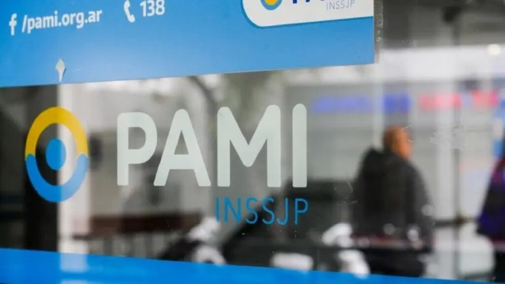 pami inssjp