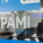 pami inssjp