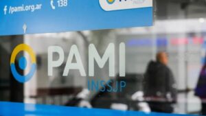 pami inssjp