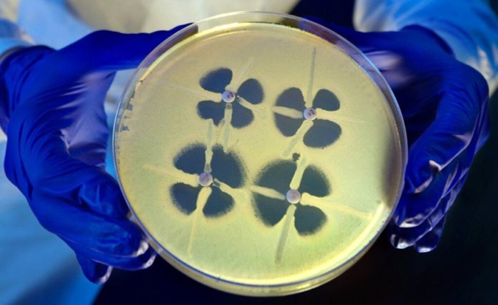 bacteria super