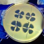 bacteria super