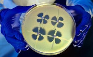 bacteria super