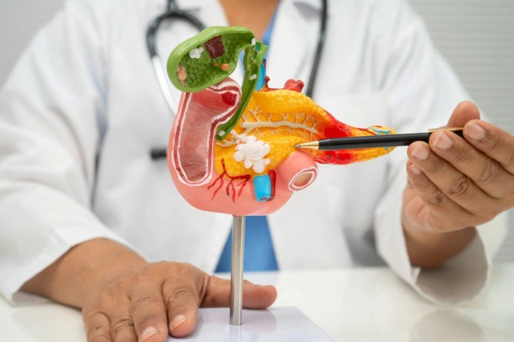 pancreas medico