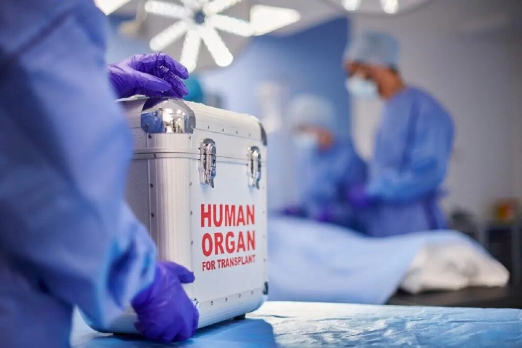 donacion-de-organos-ciudad