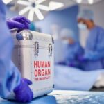 Primer trasplante renal pediátrico conjunto en hospitales públicos porteños: un hito para la red de trasplantes